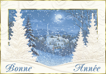 Bonne Année